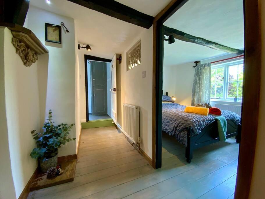 Beautiful 500 Year Old Listed Kentish Cottage Wingham Экстерьер фото